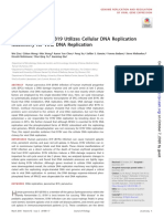 Journal of Virology-2018-Zou-e01881-17.full