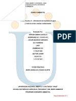 INFORME QUIMICA AMBIENTAL PRACTICA N 1 2c 2 2c Y 3 1