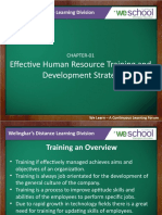 Effective Human Resource Training and Development Strategy: Welingkar's Distance Learning Division