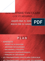 Traumatisme Vasculaire