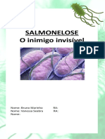 Salmonelose Panfleto