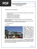 Gestión de Formación Profesional Integral Procedimiento Desarrollo Curricular Guía de Aprendizaje