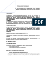 Terminos de Referencia Proyectos Defensa Ribereña