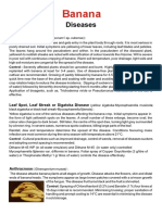 Banana Disease 2 PDF