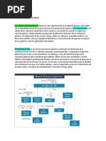 Escenario 2