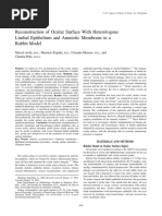 Reconstruction of Ocular Surface With Heterologous Limbal Epithelium and Amniotic Membrane in A Rabbit Model