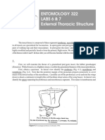 Entomology 322 Labs 6 & 7 External Thoracic Structure: Grasshopper Prothorax (Carbonnell, 1959)