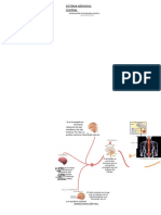 Sistema Nervioso Central Word