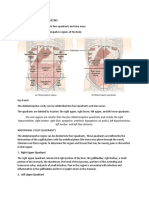 Abdomino-Pelvic Regions: Abdominal Four Quadrants