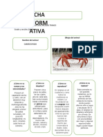 Ficha Informativa