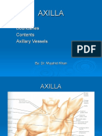 4 Axilla