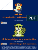 Investigación y Análisis Organizacional.