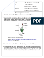 Praktikum