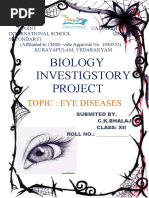 Biology Investigatory Project On Eye Diseases