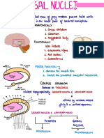 12.basal Nuclei PDF