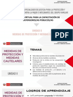 Medidas de Protección y Cautelares PDF