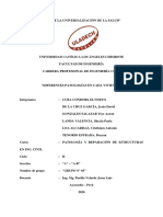 Diferentes Patologías en Cada Vivienda