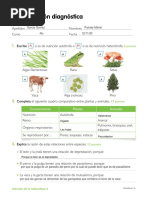 Evaluación Diagnóstica de Naturales