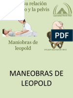 Maneobras de Leopold, Tacto Vaginal Planos de Hode y Tipos de Pelvis