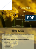 Cirurgia em Répteis PDF