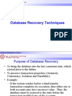 Database Recovery Techniques