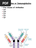 Antibodies or Immunoglobulins: Five Classes of Antibodies