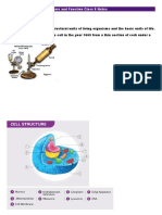 Cell - Structure and Function Class 8 Notes: Cells