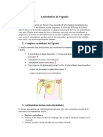 1 - Articulation de L'épaule