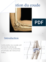 2 - Articulation-Du-Coude