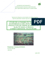 La Transformation Du Manioc Au Madagascar