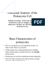 Functional Anatomy of The Prokaryotic Cell