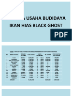 Analisa Usaha Ikan Black Ghost Fix