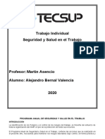 Trabajo Individual de Seguridad y Salud en El Trabajo