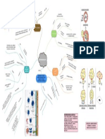 Linares Barriga e M Mapa Mental de Hipersensibilidad PDF