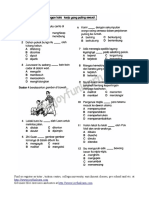 Y6 Kata Kerja PDF