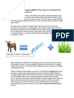 Estimated Breeding Values (Ebvs) : How They Are Calculated and What It Means To Producers