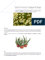 Plantas Medicinales