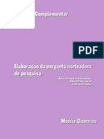 Elaboraçao Pergunta Norteadora Pesquisa PDF