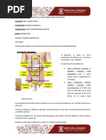 Tejidos y Planos Quirúrgicos