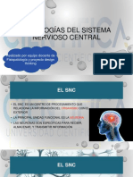 CLASE 13 - Patologías Del SNC PDF