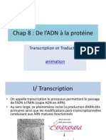 BCM 7 Transcription Traduction