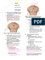 LVH - Lateral To The Midclavicular Line: Right and Left 2 ICS Next To The Sternum