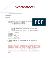 Answer Key Circulatory System Quiz