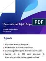 03 Carlos Andrés Pérez - Camara de Comercio de Cali - Desarrollo Del Tejido Empresarial PDF