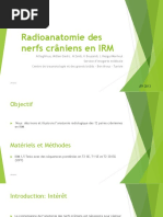 Radioanatomie Des Nerfs Crâniens en IRM