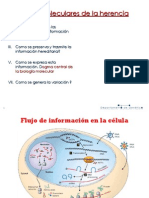 Bases Moleculares de La Herencia Resumen