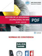 Gestion en Seguridad Minera