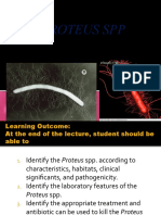 Lec 7proteus SPP