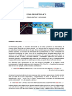 2-Ficha de Práctica 1-Código Genético y Mutaciones