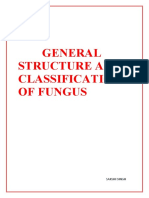 General Structure and Classification of Fungus: Sakshi Singh